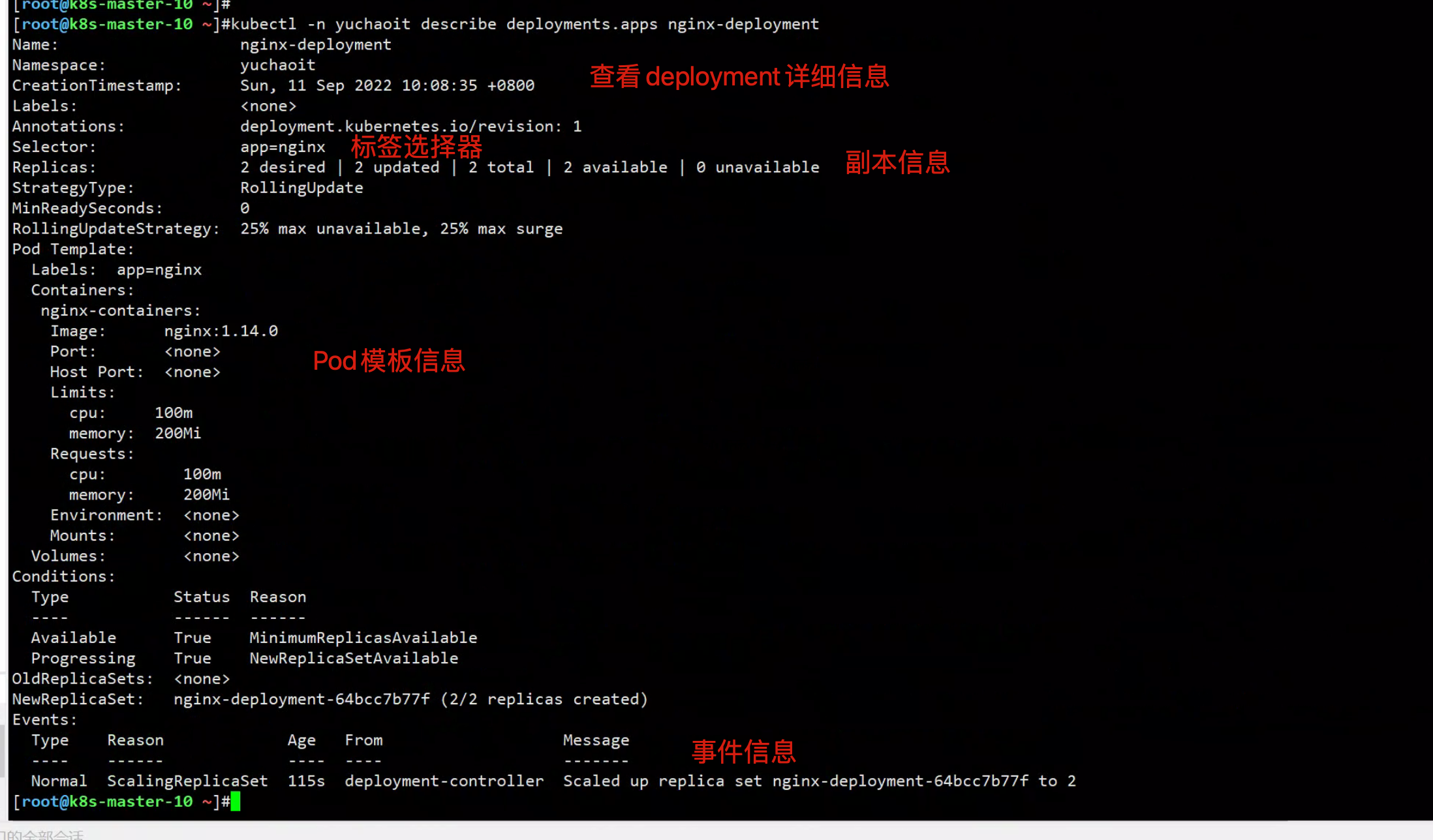 image-20220911101154367