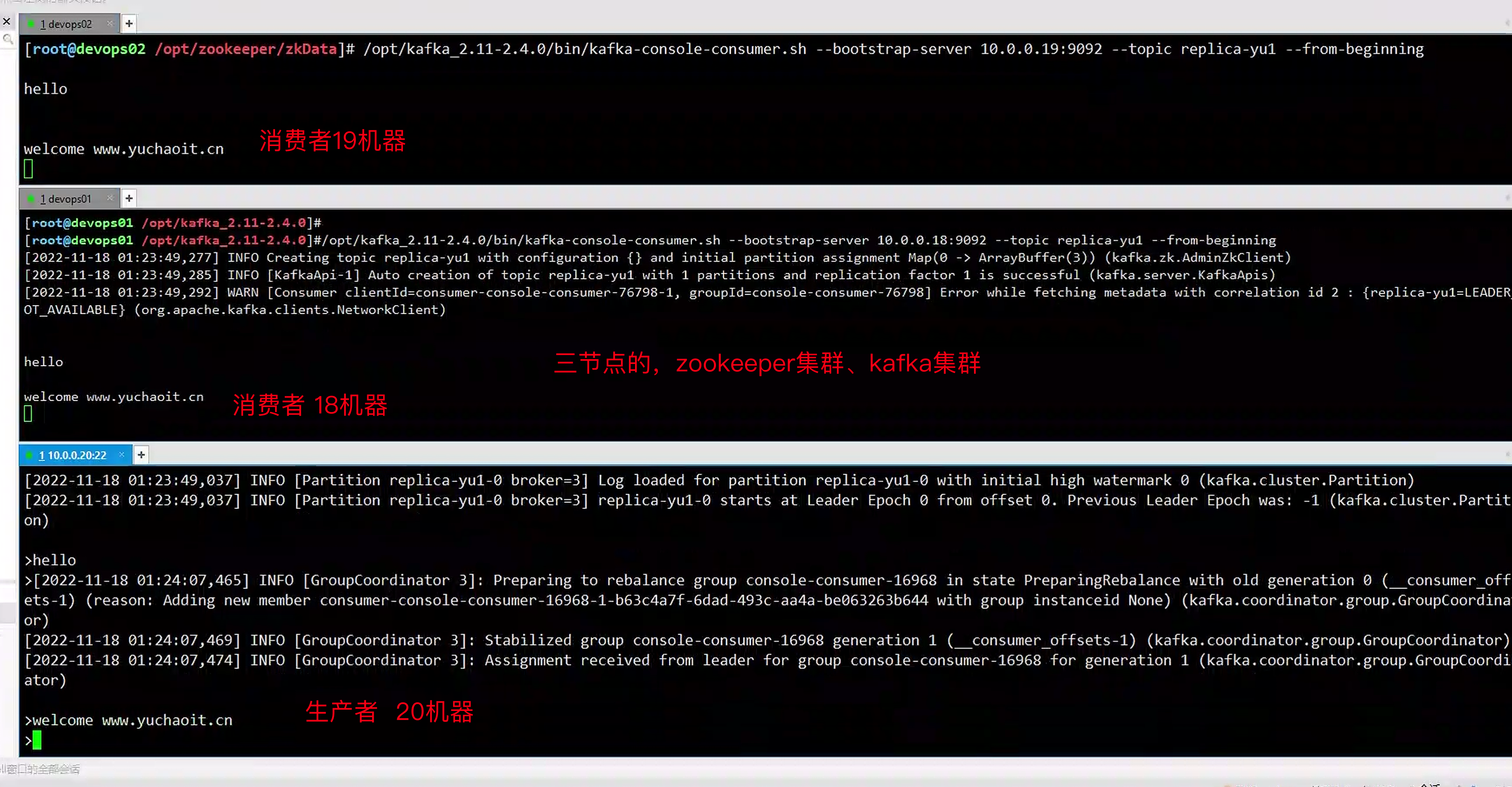 image-20221117172447838